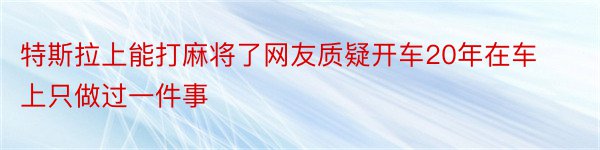 特斯拉上能打麻将了网友质疑开车20年在车上只做过一件事