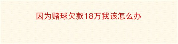 因为赌球欠款18万我该怎么办