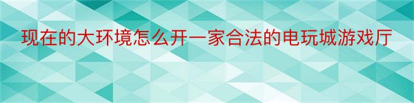 现在的大环境怎么开一家合法的电玩城游戏厅