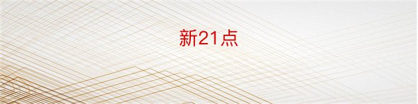 新21点