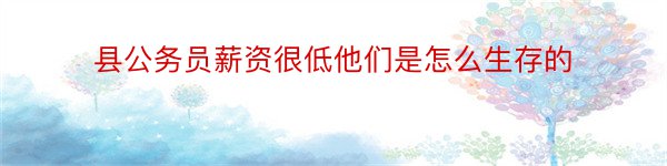 县公务员薪资很低他们是怎么生存的