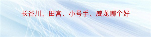 长谷川、田宫、小号手、威龙哪个好