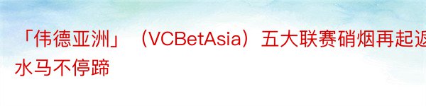 「伟德亚洲」（VCBetAsia）五大联赛硝烟再起返水马不停蹄